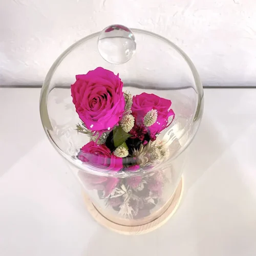 grande cloche trio rose fuchsia la belle et la bête
